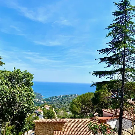 Sea View Forest