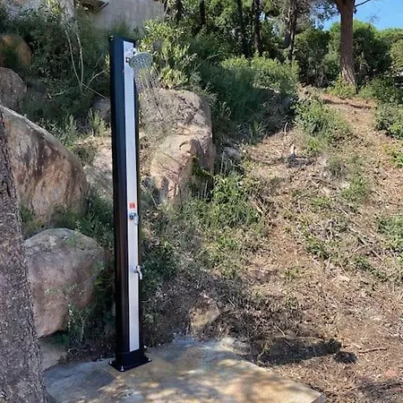 Sea View Forest Appartement